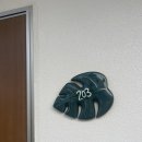 모아나(moana) | 오키나와 아메리칸빌리지 근처 숙소 하와이완 트로피칼 컨셉의 더 모아나(The Moana)후기