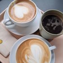 차오밸라 이미지