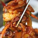 생생오징어 이미지