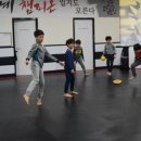 단국대 아름태권도 네이버블로그