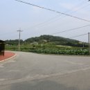 궁현2리 이미지