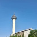 양산타워 | 양산타워 북카페 정보 및 후기 (분위기좋은카페)