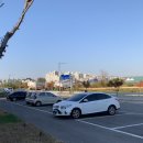 핑크 아케이드 이미지