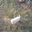 윤희농장 이미지