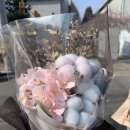 안흥어린이집 이미지