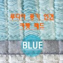 주식회사루디아 네이버블로그