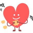 튜닝&스팀세차사령부