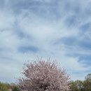 나비산기사식당 | 영덕 현지인 맛집 '나비산 기사식당' 솔직후기! 전현무계획2도 반한 생대구탕 해장 완벽 정리