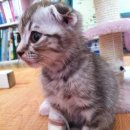 늘푸른동물병원 이미지