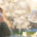 아산이뮨플러스의원 이미지