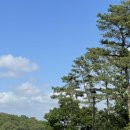 SPACE POME(스페이스폼) 이미지