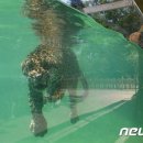 프랑스수조
