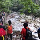 봄·여름·가을 코스 이미지