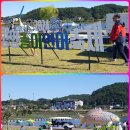 양양 송이, 연어 축제의 이모저모 이미지