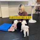 멈무살롱 네이버블로그