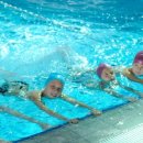 스위밍키즈 아카데미 이미지