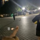 평촌공원 공중화장실 네이버블로그