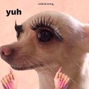 영 | 올리브영 세일 추천템 내돈내산 후기 총정리