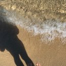 죽변 공설시장 | 여행 : 백가네 식당, 스노클링, 호텔 덕구온천, 죽변 해안 스카이 레일, 망양 휴게소, 성류굴, 송학 면옥