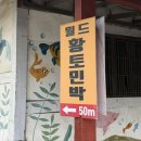 황토통나무집민박 | 양양 하조대 월드황토민박 - 4인 투룸 후기! 하조대해수욕장 걸어서 5분인데 마당에서 바베큐까지 완벽🧡