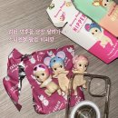 엔젤1호 | 소니엔젤 히퍼 천국🪽 부산 소니엔젤X아트박스 팝업 후기 내돈내산 +싸게 사는 꿀팁 🛍️