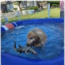 조이원펜션 이미지