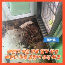 마루Ⅱ | 베란다 썩은 마루 철거 작업 베란다 마루 곰팡이 부식 해결