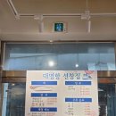 해물횟집 | 대명항맛집 선창횟집 해물칼국수 후기