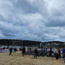 (단기) 소소한 일상 드로잉 | 다시 돌아온 도기의 소소한 일상 사진 모음