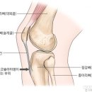 우리연합정형외과신경외과의원 네이버블로그