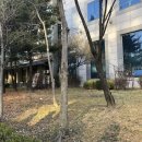 태원동물병원 이미지