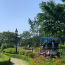 곡성-172 이미지