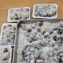 가람떡방앗간 이미지