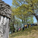 영원부원군 묘 이미지