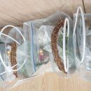 양덕동303 이미지