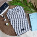 빅토리애견 이미지