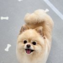 크린멍 이미지