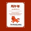 스타 익스트림 태권도 이미지