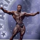 현대보디빌딩 이미지