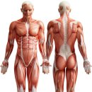 가람한의원 이미지