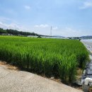 오케이부동산중개사무소 이미지