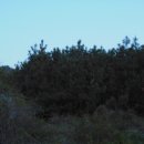 부안보건진료소 이미지