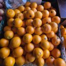 맘스독 | 봄의 시작 3월에 먹은 음식과 일상 기록