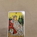 마음의 위로 타로카드 배우기 이미지