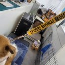 김선생안경 이미지