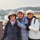 백운행복 이미지