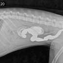 조영메디칼 이미지