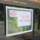 더플레이어스(스크린)(354) | 광릉 나들이 정보 | 관람시간 입장료 주차 총정리와 후기