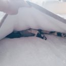 제이드컴 네이버블로그