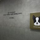 나음동물메디컬센터 이미지